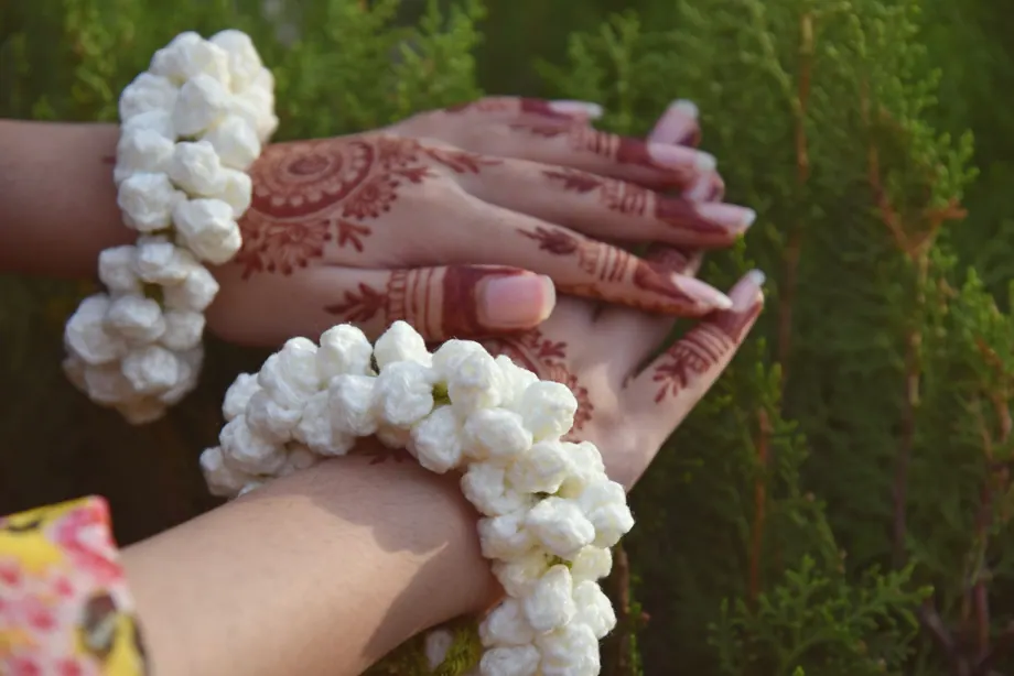 White motia gajray
